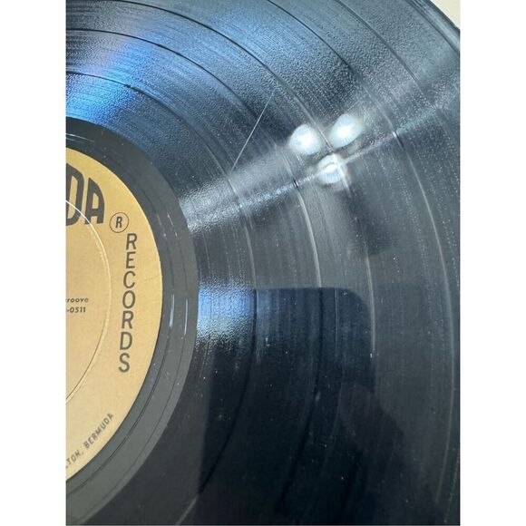 TOM LEWIS: songs of a travelling man BERMUDA 12" LP Record - Picture 8 of 9